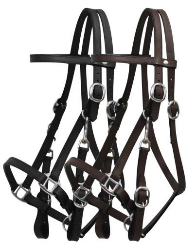 Combinazione briglia supporto