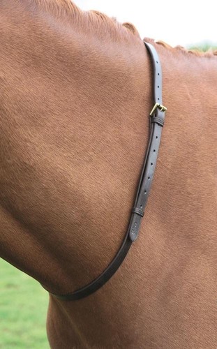 Shires velociti gara - velociti, cinturino