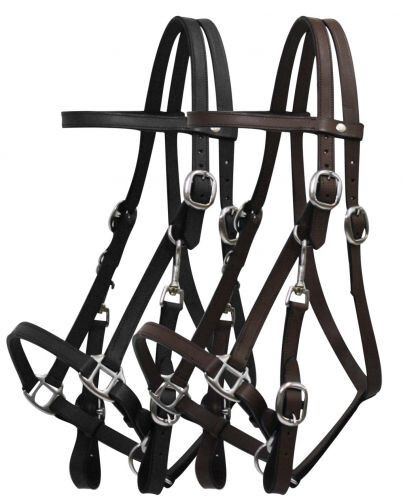Combinazione briglia supporto